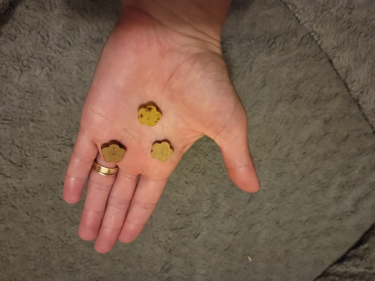 An open palm holding three small paw-shaped dog treats, one of each Soopa autumn flavour, over a grey fleece blanket
